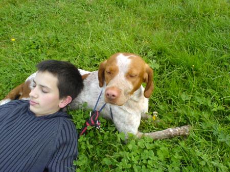 promenade bail caro polak tio bet et les 2 chiens